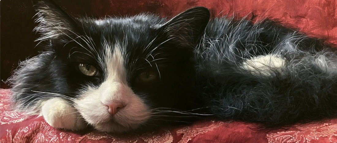How to Commission a Custom Cat Portrait, Start to Finish