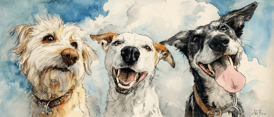 Most Photogenic Dog Breeds and How to Photograph Any Dog Well