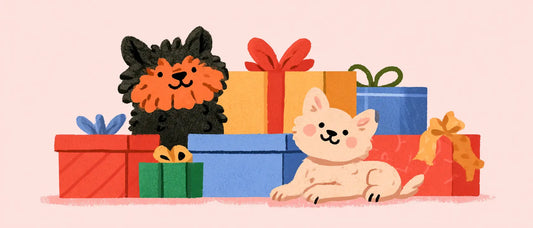Personalized Cat Gifts: Every Idea a Cat Lover Will Actually Use