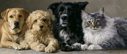 Pet Memorial Ideas: Meaningful Ways to Remember Your Pet