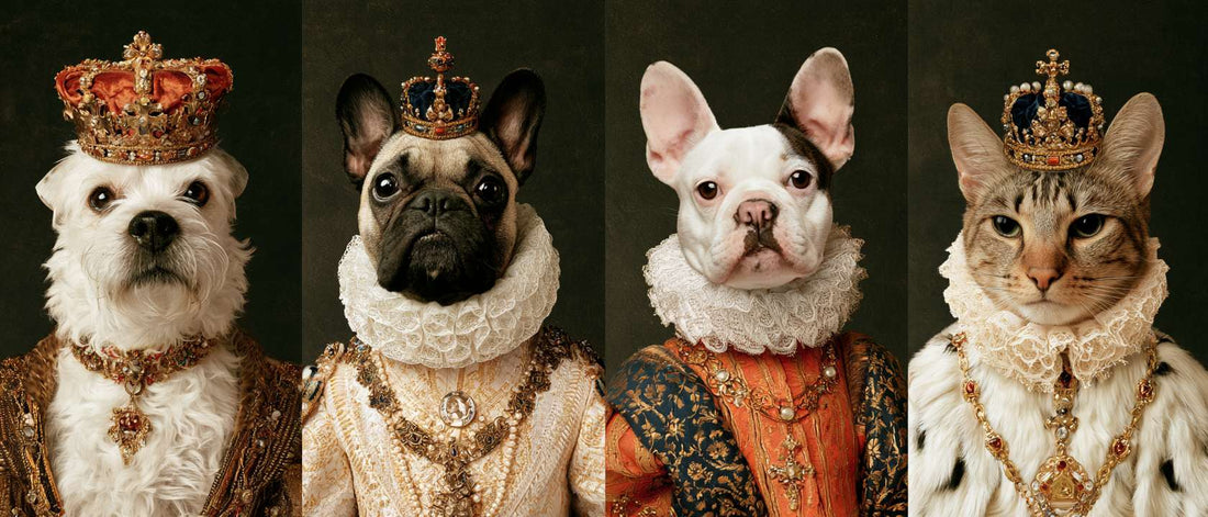 Royal Dog Breeds and Cat Breeds With a Naturally Regal Look