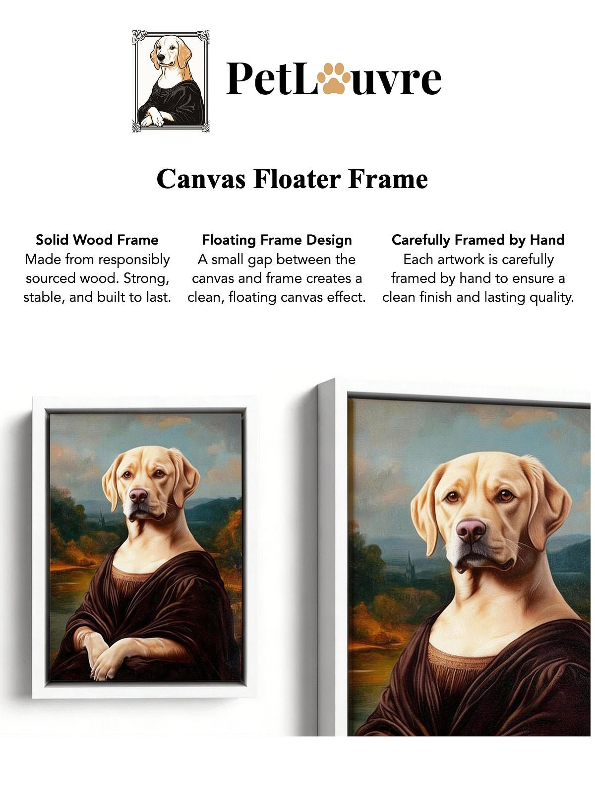 White Canvas Frame