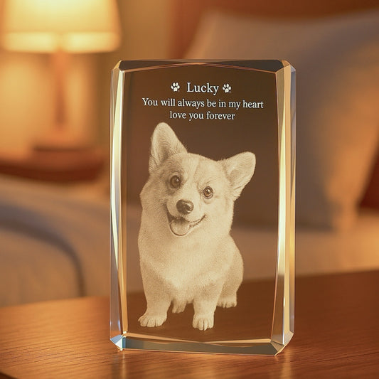 Engraved Crystal - 3D Pet Art