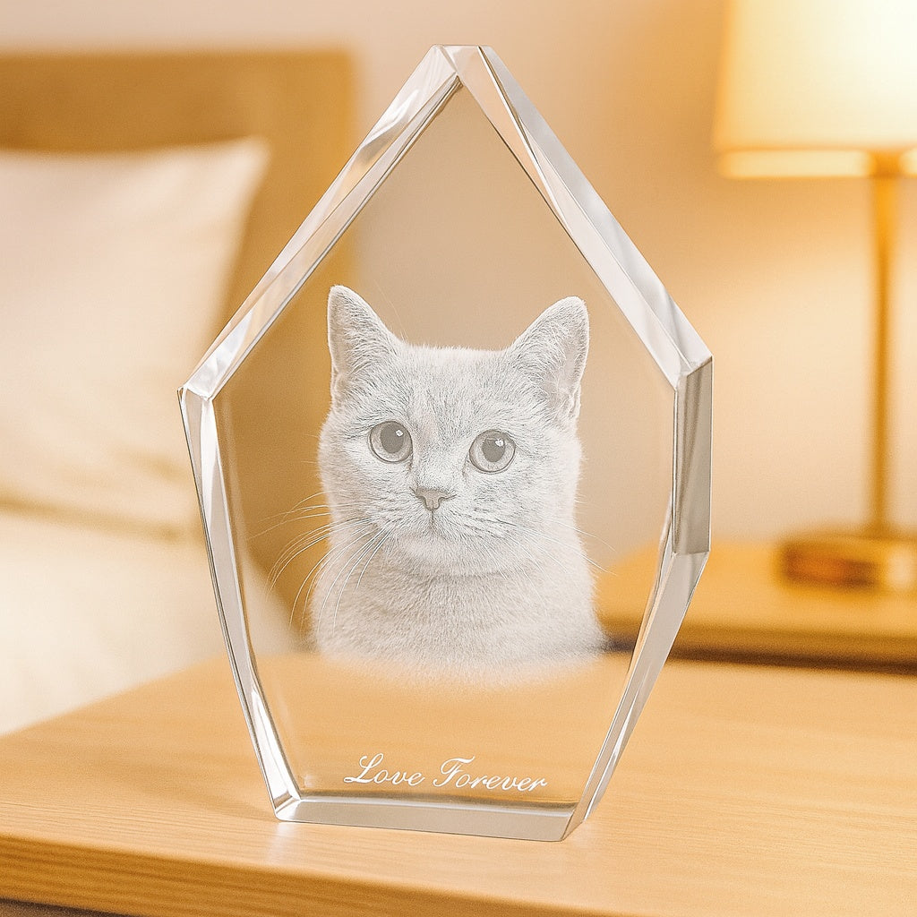 Engraved Crystal - 3D Pet Art