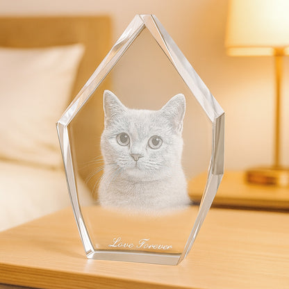 Engraved Crystal - 3D Pet Art