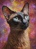 personalized feline keepsake as thoughtful cat gifts