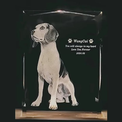Engraved Crystal - Personalized Pet Treasure